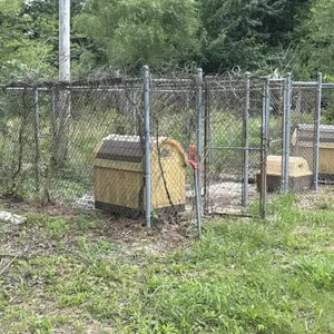 3- Section Dog Kennel