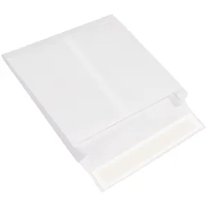 Great Box Supply Tyvek Expandable Envelopes