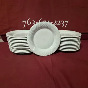 (24) Rego Fine Porcelain 10" Ceramic Plates