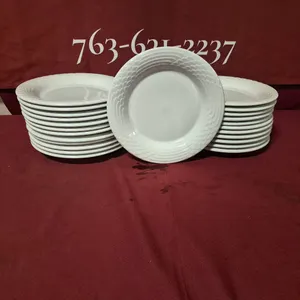 (24) Rego Fine Porcelain 10" Ceramic Plates