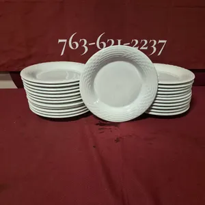(24) Rego Fine Porcelain 10" Ceramic Plates