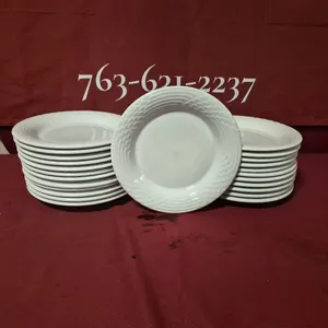 (24) Rego Fine Porcelain 10" Ceramic Plates