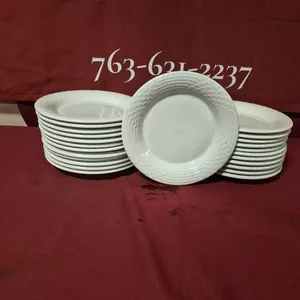 (24) Rego Fine Porcelain 10" Ceramic Plates