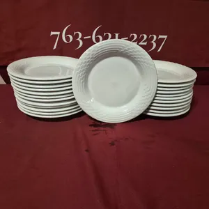 (24) Rego Fine Porcelain 10" Ceramic Plates