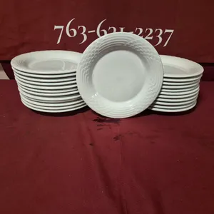 (24) Rego Fine Porcelain 10" Ceramic Plates
