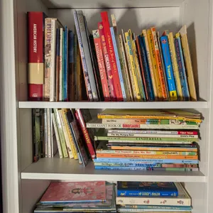Collection of Children's Books and American Classics