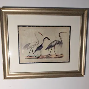 Framed Bird Print