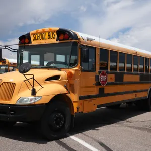 2006  IC Corporation  CE300  RWD  77-Passenger School Bus