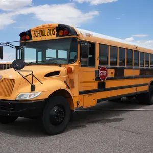 2006  IC Corporation  CE300  RWD  77-Passenger School Bus