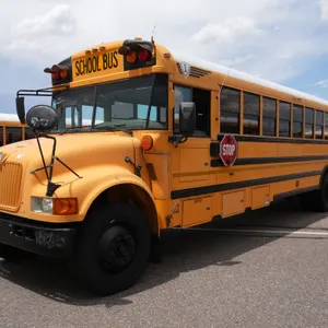 2004  IC Corporation  CE300  RWD  77-Passenger School Bus
