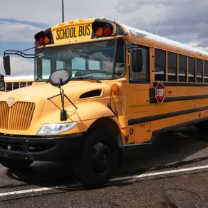 2005  IC Corporation  CE300  RWD  77-Passenger School Bus