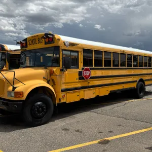 2004  IC Corporation  CE300  RWD  77-Passenger School Bus