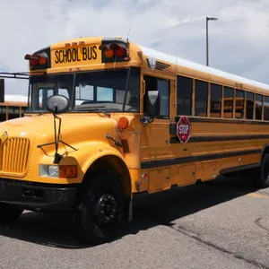 2004  IC Corporation  CE300  RWD  77-Passenger School Bus