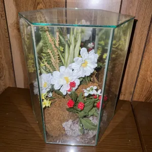 Vintage Terrarium
