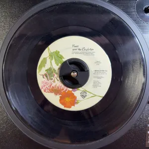 45 RPM Prince and the Revolution I Would Die 4 U