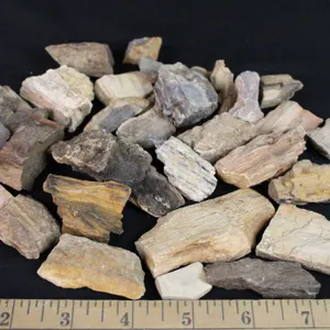 Petrified Wood, 1 lb