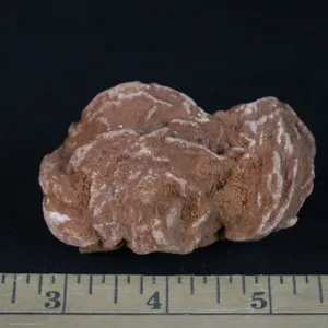 Barite Flower Specimen, 5 oz