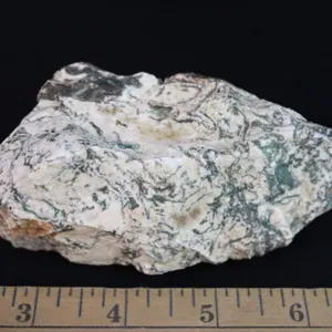 Tree Agate, 13 oz