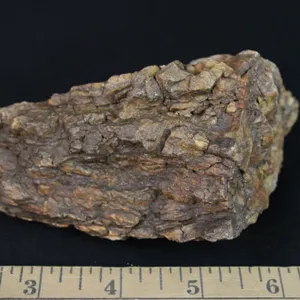 Petrified Wood, 1 lb