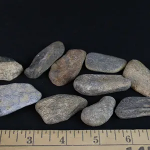 Fossil Dinosaur Bone, 6 oz