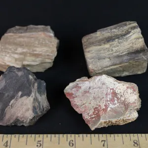 Petrified Wood, 1 lb 1 oz