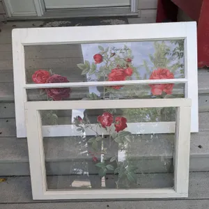 Framed Rose Botanical Prints on Glass Window Panes