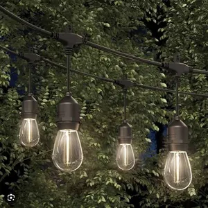 LED String Lights, 48 ft, 24 Bulbs, Outdoor