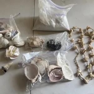 Seashells, Sand, 2 Seashell Necklaces