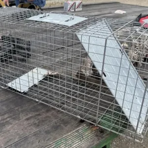32" Live Trap