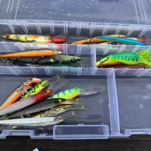 Tackle Box and Lures