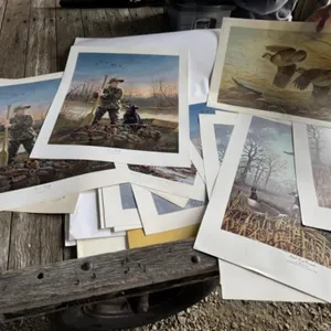 Large Lot of Wildlife Prints