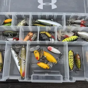 Artificial Baits in Plastic Bait Box
