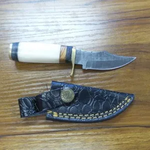 Small Fixed Blade Knife w/ Sheath