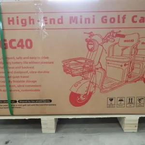 UNUSED 2026 IRGC40 Mini Golf Cart