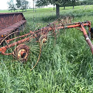 MF 6 WHEEL HAY RAKE
