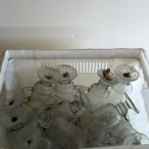 Group of Clear Glass Bottles