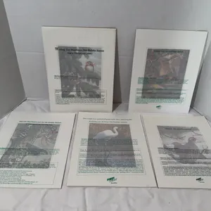 Mel Garbark Limited Edition Prints