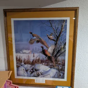 David A Maass Framed Print