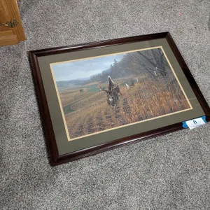 Michael Sieve Framed Print