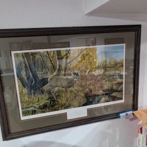 Ron Van Gilder Framed Print
