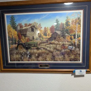 Mark Daehlin Framed Print