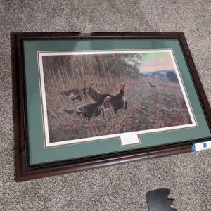 Michael Sieve Framed Print