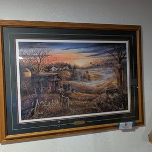 Ray Mertes Framed Print
