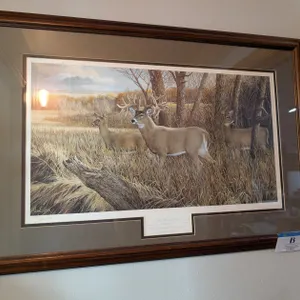 Ron Van Gilder Framed Print