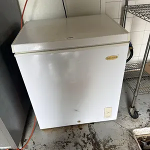 HOLIDAY CHEST FREEZER