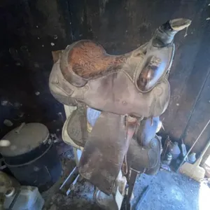 Circle "Y" Saddle 16" Seat