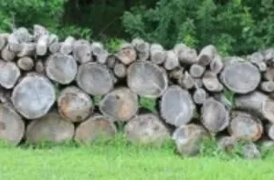 Approx. 1 Cord of Aged Hedge & Misc. Firewood