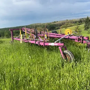 ENROSSI 10 WHEEL V RAKE
