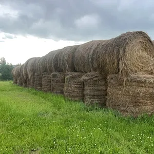 26 - RD BALES OF 2025 CROP/GRASS MIX