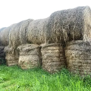 36 - RD BALES OF 2025 CROP/GRASS MIX